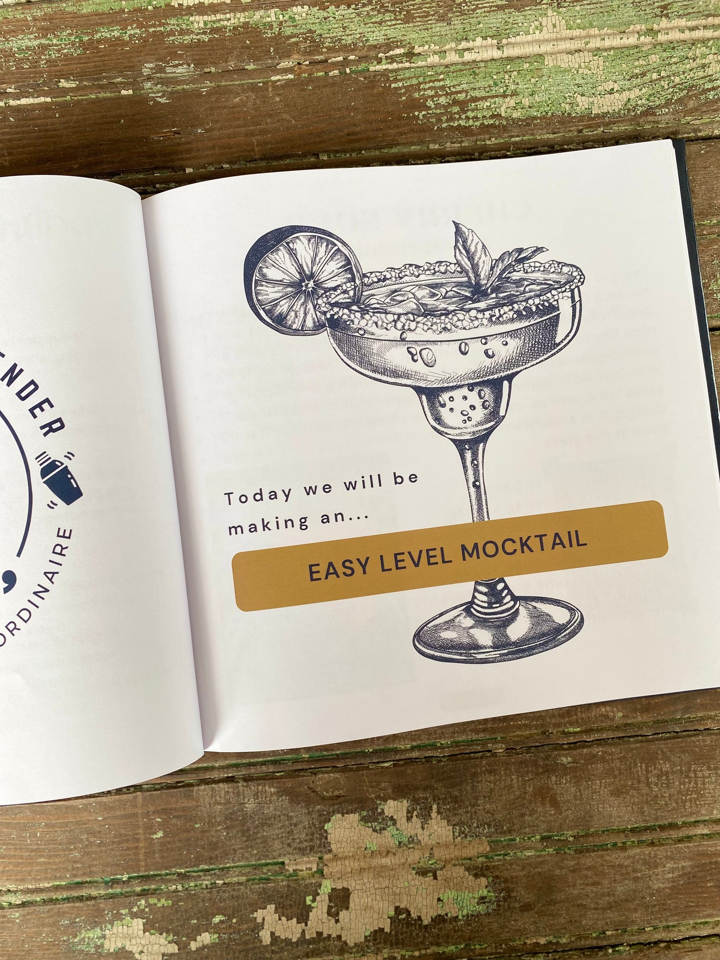 The Teenage Bartender's Mocktail Guide Hardcover Book