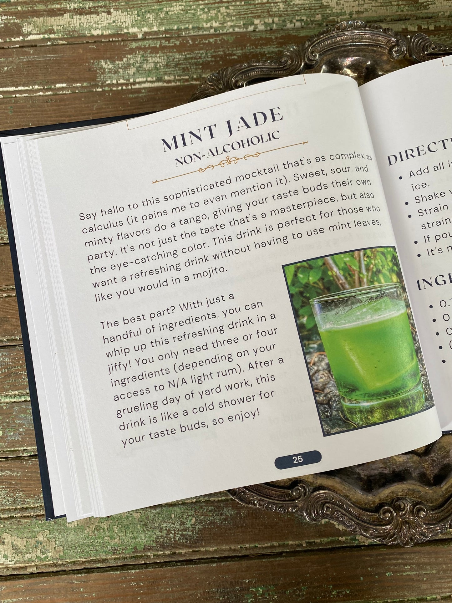 The Teenage Bartender's Mocktail Guide Hardcover Book