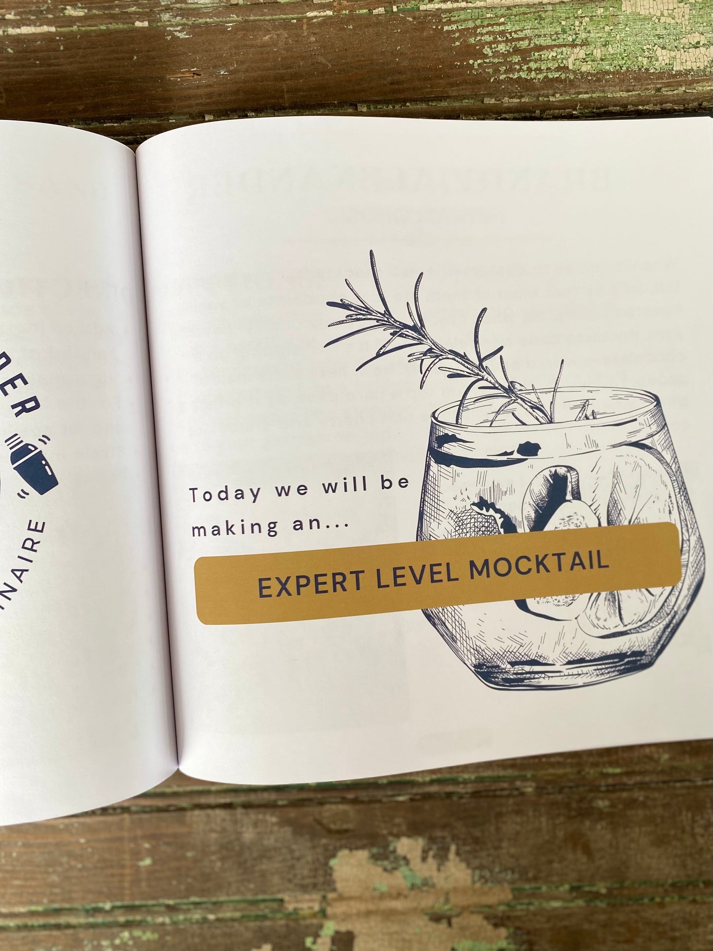 The Teenage Bartender's Mocktail Guide Hardcover Book