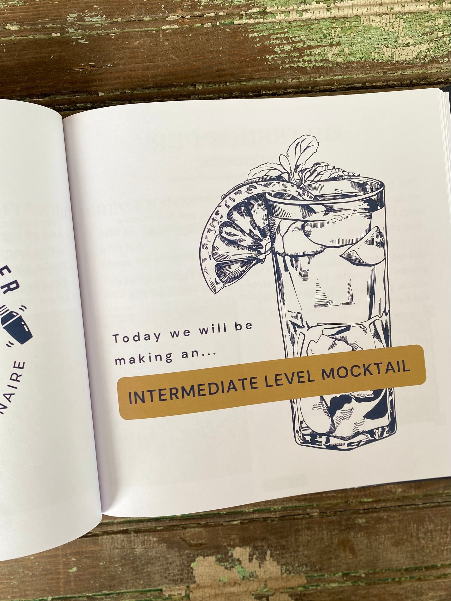 The Teenage Bartender's Mocktail Guide Hardcover Book