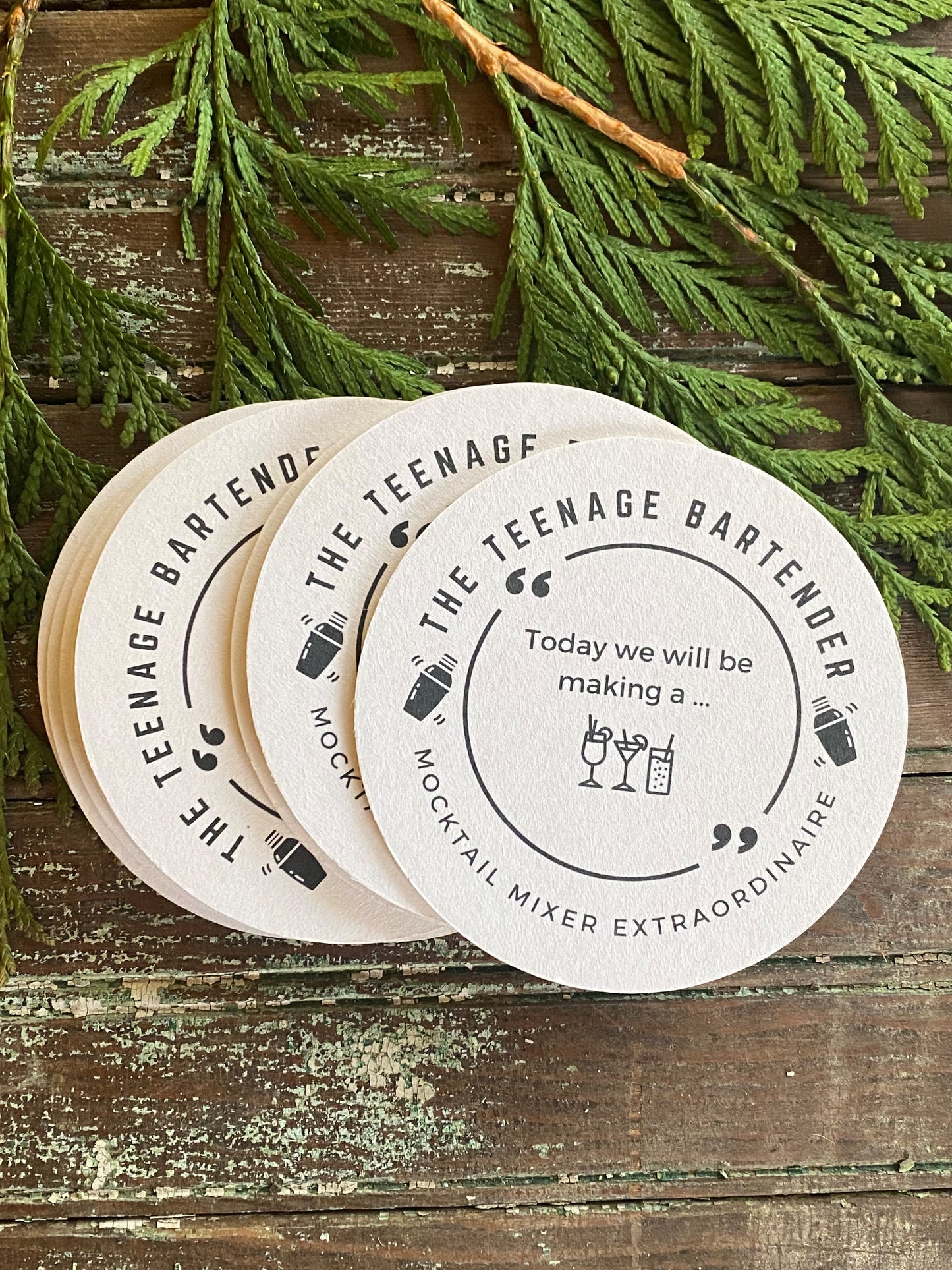 The Teenage Bartender Coaster Set of 16